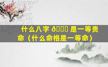 什么八字 🐒 是一等贵命（什么命格是一等命）